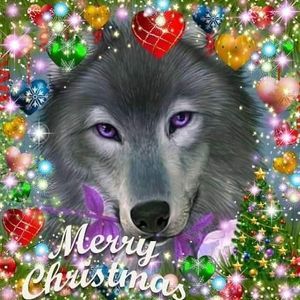 Meet your Posher, Ellen